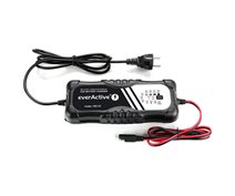 INTELLIGENT PROF. CHARGER 12V/24V 10Ah